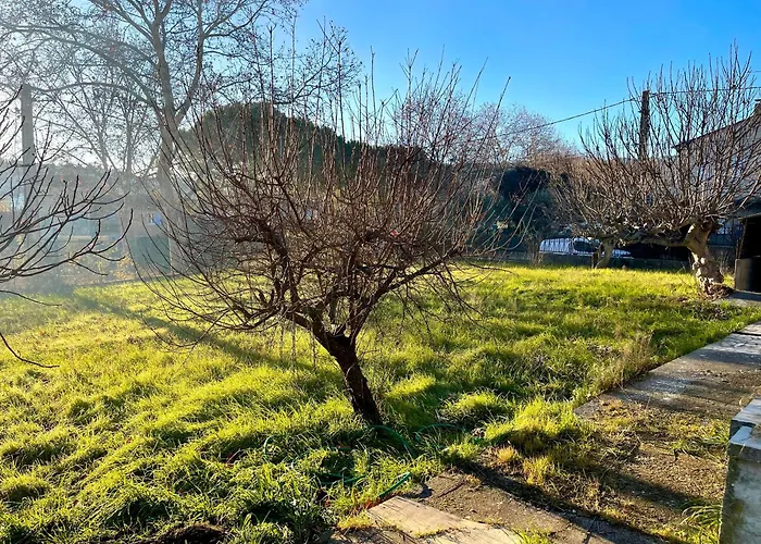 Apartment Grand Provencal *